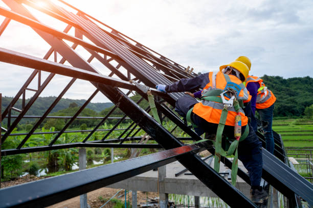 Professional Roofing Contractor in Abbeville, GA
