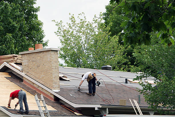 Best Shingle Roofing Installation  in Abbeville, GA