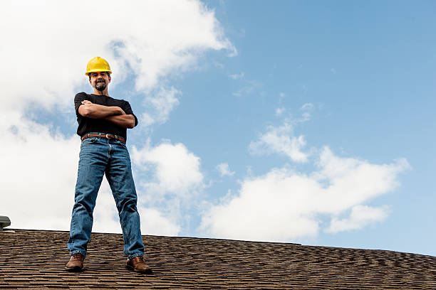 Best Roof Gutter Cleaning  in Abbeville, GA